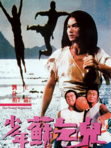 国内丰满少妇猛烈精品播放
